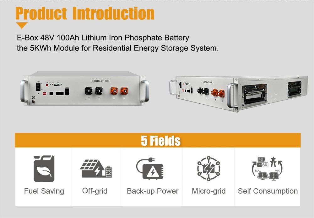 High Performance Li-ion Lithium-Ion LiFePO4 Rack Storage Charger Electric Motorcycles Lithium Batteries Battery