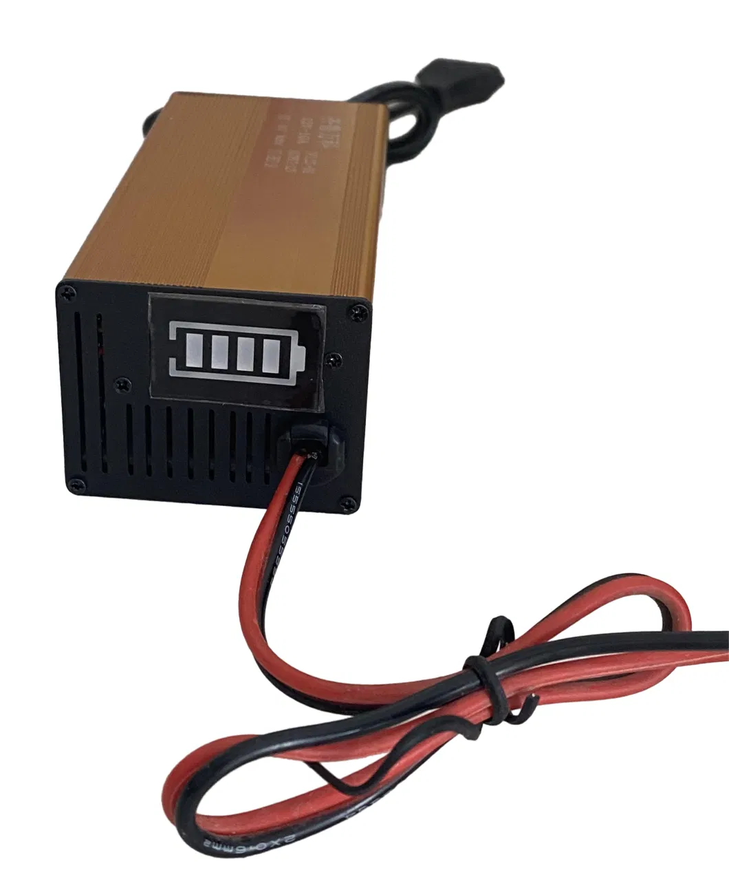 Battery Charger for Electric Motorbike 12.6V-8A