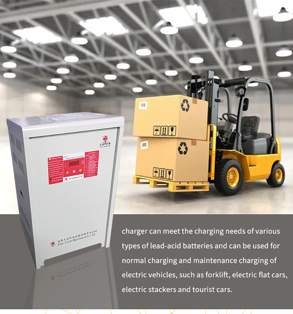 Electric Vehicle/Rickshaw/Forklift/Stacker Lithium Battery Pack Programmable High Power Intelligent Fast Charger