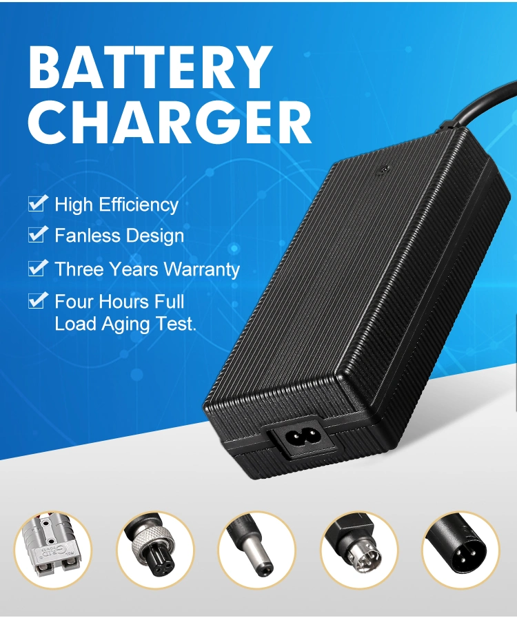 Fy3009000 Hot Selling 3 Stage Charge Mode 29.2V 9A Electric Mobility Scooter LiFePO4 Battery Charger