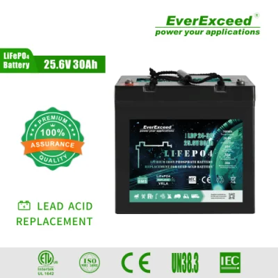  Batteria al litio ricaricabile da 24 V 30 ah a buone prestazioni. Sostituire l&prime;acido di piombo