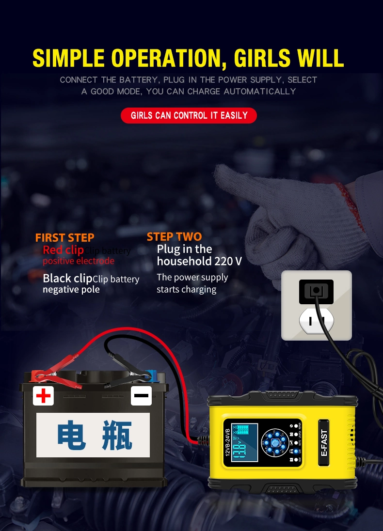 12V 24V 12A Pulse Repair Charger/ LiFePO4 Motorcycle &amp; Car Battery Charger/AGM Deep Cycle Gel Efb Lead-Acid Charger