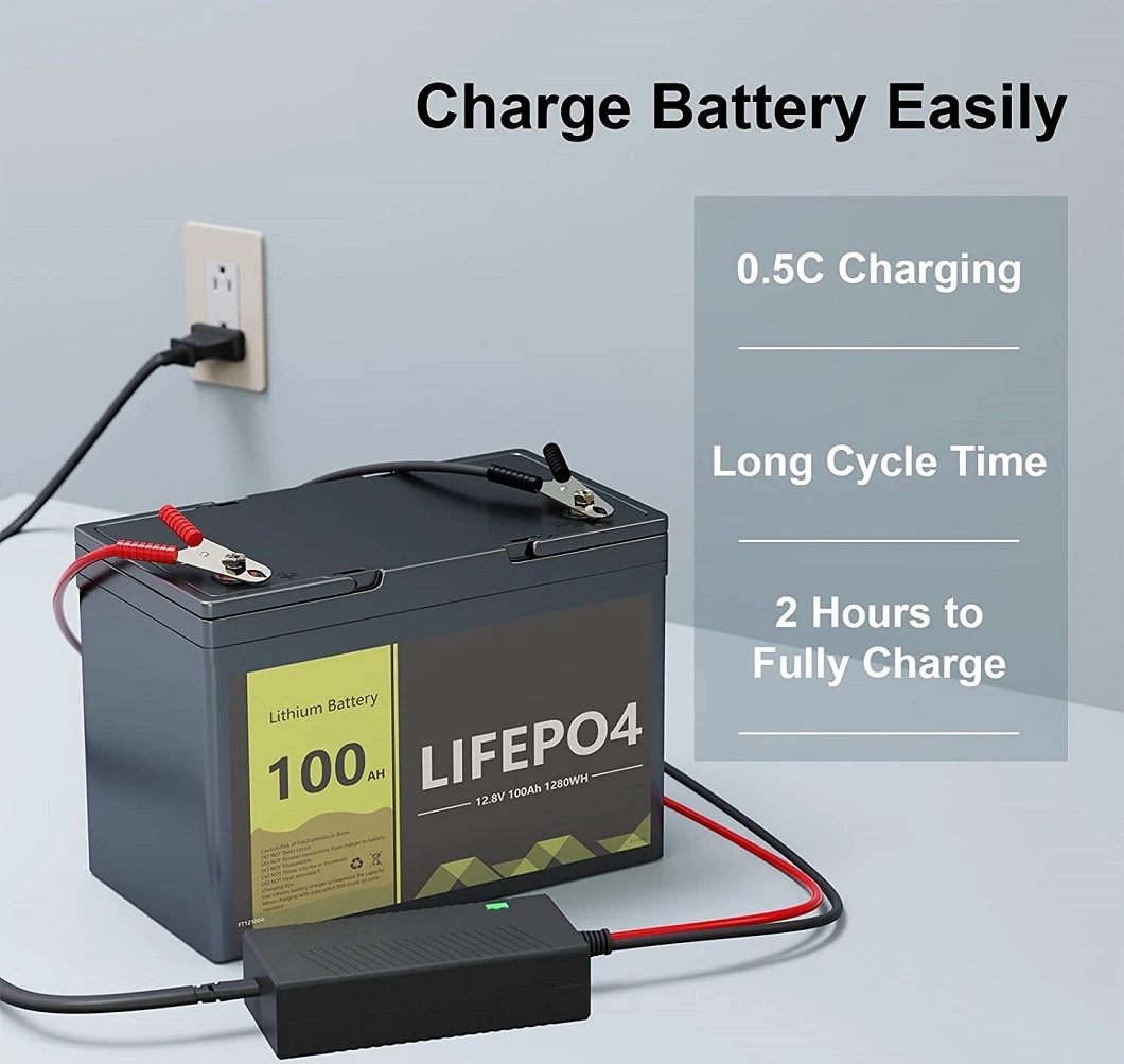 Rechargeable Lifepo4 12v 24v 36v 50ah 100ah Lithium Ion Battery