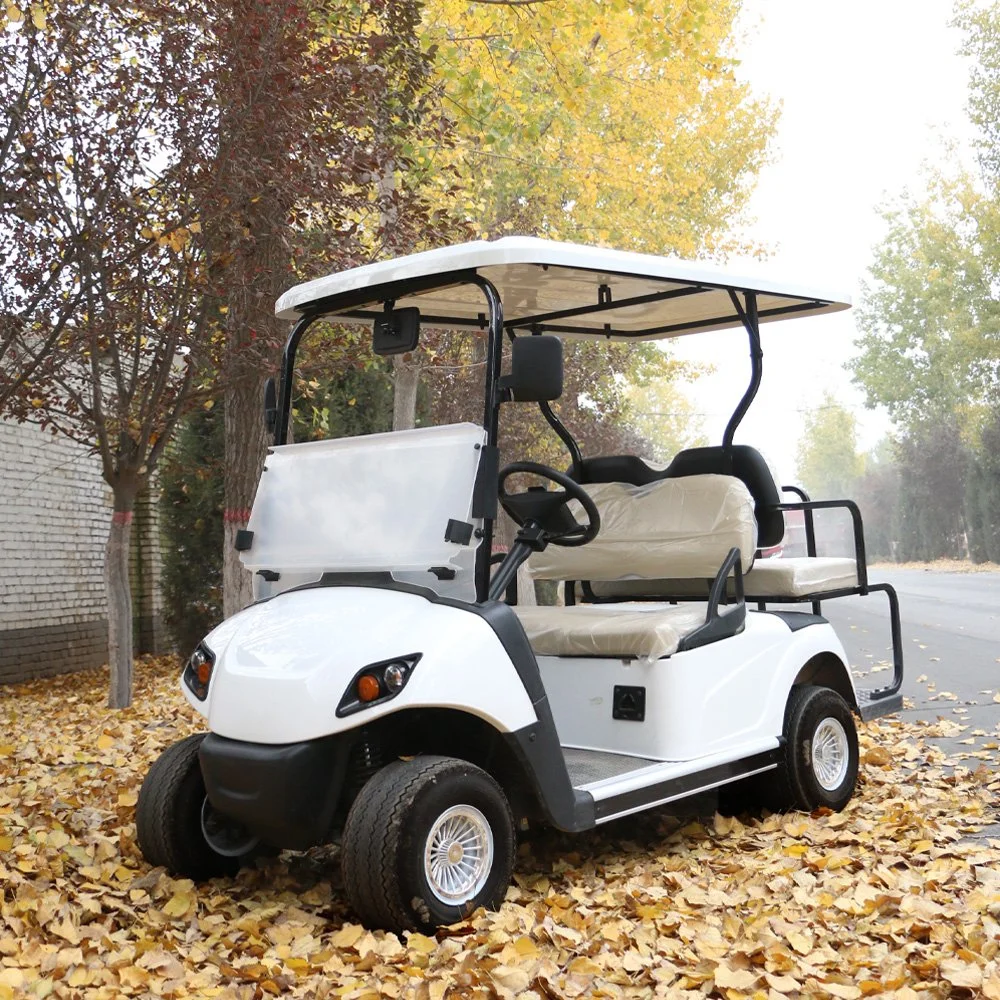 Hongchangda Electric Golf Cart 2+2 Seats 4 Wheels Club Car for Sighting with 48V 72V Fast Charger