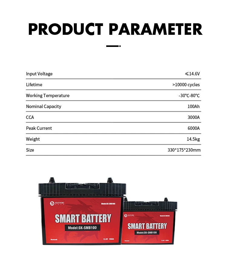 OEM Rechargeable Long Life Cycle Auto Car Battery 12V 100ah LiFePO4 Smart Battery Charger