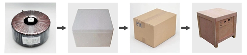 Toroidal Isolate Transformer 220V to 110V 220V to 12V Transformer