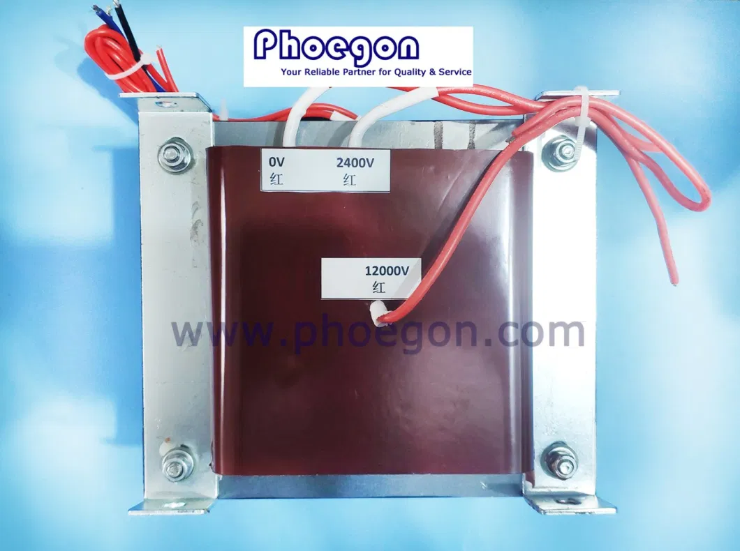 DC 12V High Voltage Electrostatic Agriculture Sprayer Transformer