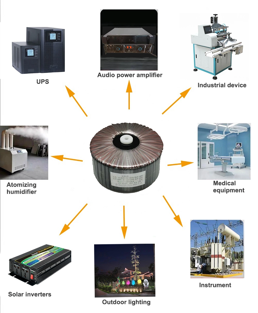 Wholesale Two Winding Multi Winding Copper Power Supply Toroidal Transformer with OEM and ODM 120V 220V 12V 24V 1000va