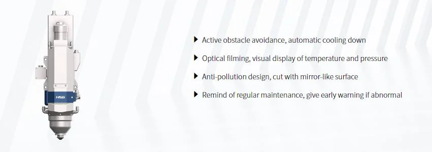 Hsg Laser Xlaser Double Exchange Platforms Sheet Meta Laser Cutter with Taper Pins Positioning From China Metal Manufacturer