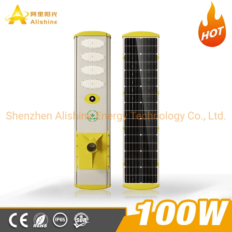 100W Solar Street Lighting System LED Solar Light of Squares/Farm Houses/ Parking