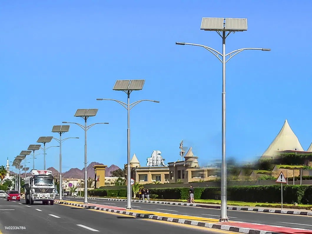 CE RoHS Coc SGS Certified Dual Solar Street Lighting System