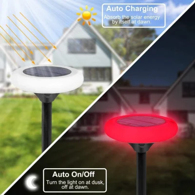 Luci RGB intercambiabili per passerella da giardino solare