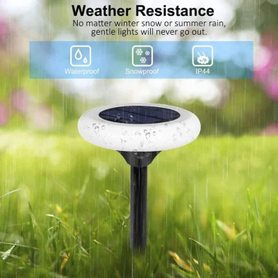 Luci RGB intercambiabili per passerella da giardino solare