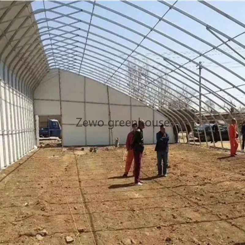 Easy Install Solar Sunlight Film Greenhouse for Cold Climates