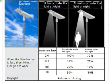 OEM Aluminum All in One Solar Street Light 30W 40W 50W 60W 80W 100W Integrated Public LED Street Light Garden Light with Motionsensor Discount for Road Lighting