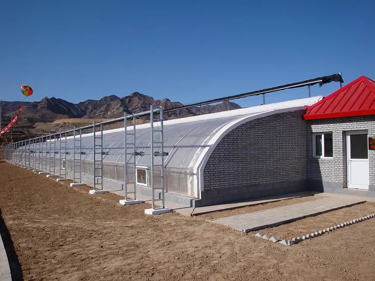 Easy Install Solar Sunlight Film Greenhouse for Cold Climates