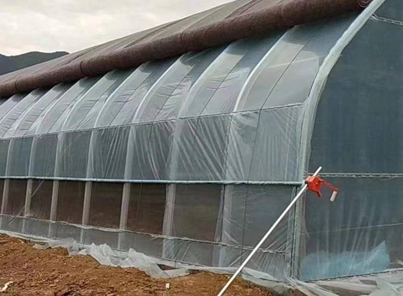 Easy Install Solar Sunlight Film Greenhouse for Cold Climates