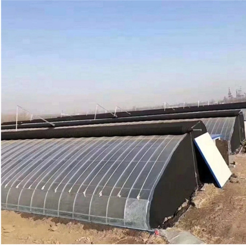 Easy Install Solar Sunlight Film Greenhouse for Cold Climates