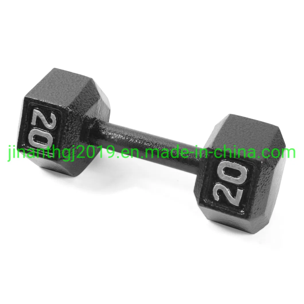 Gym Fitness Center Use Dumbbell for Training