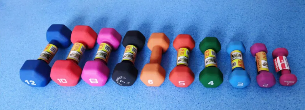 Small Vinyl Dumbbell Colorful DIP Coated Dumbbell Set Gym