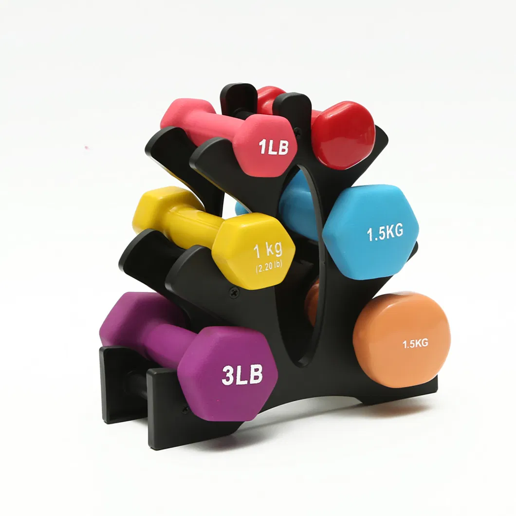 Home Exercise Dumbbell with Different Color Body Workout