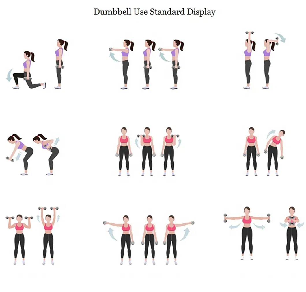 Home Exercise Dumbbell with Different Color Body Workout