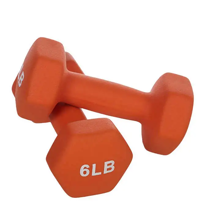 Vinyl Dumbbell Set for Weight Lifting