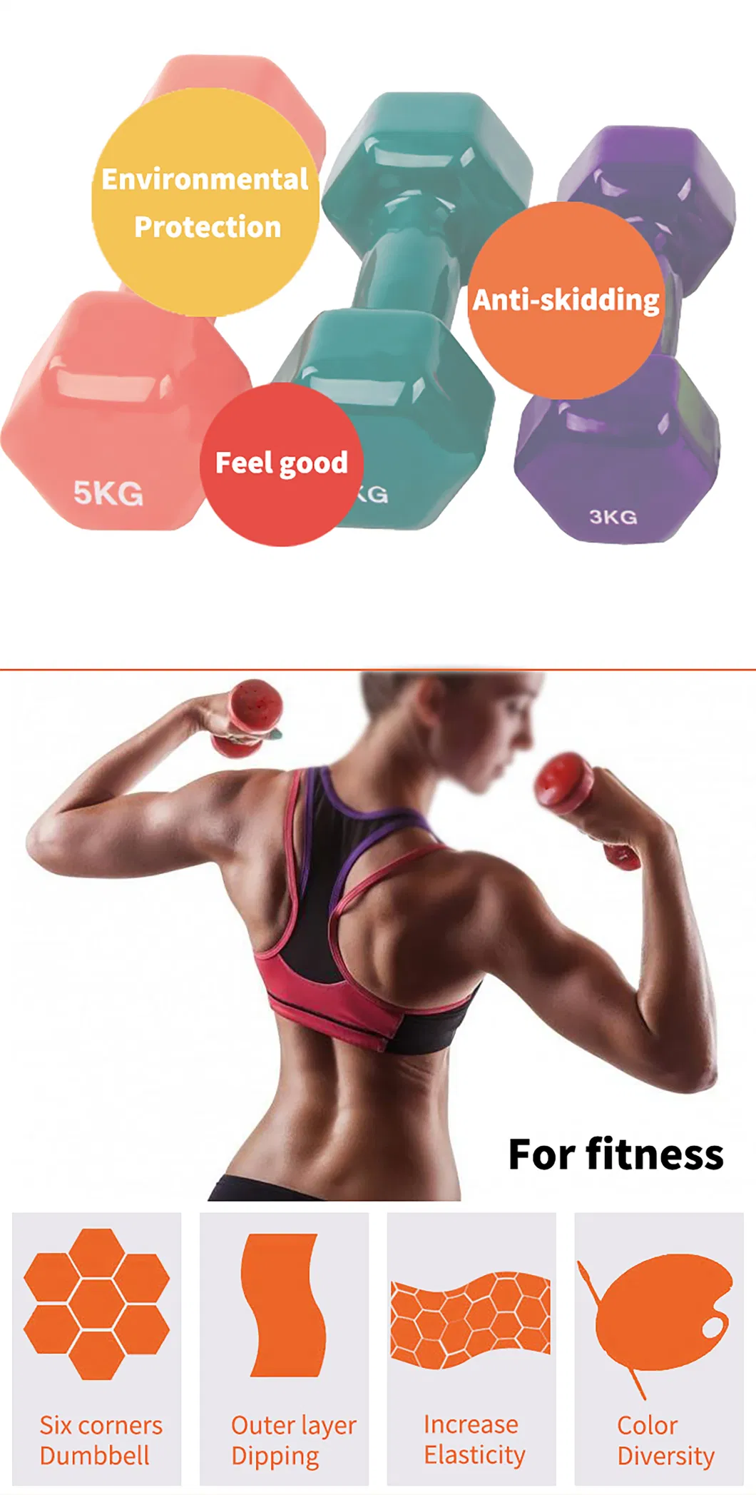 Home Exercise Dumbbell with Different Color Body Workout