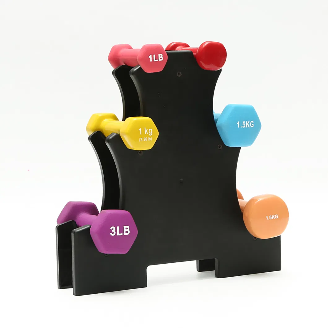 Home Exercise Dumbbell with Different Color Body Workout