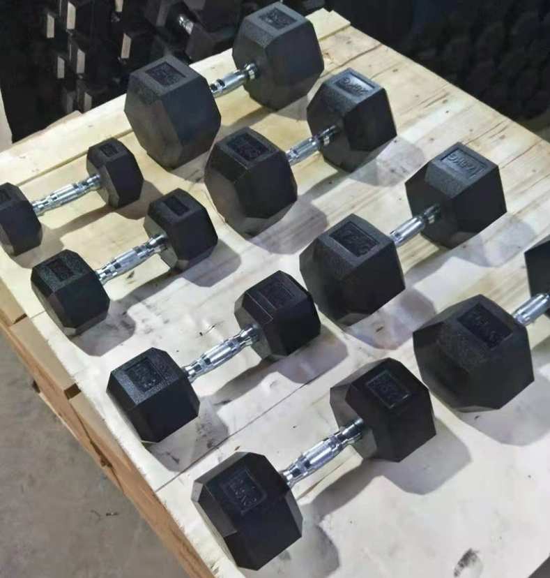 Gym Equipment Fitness Dumbbell Metal Handle Cast Iron Rubber Hex Hexagon Dumbbell