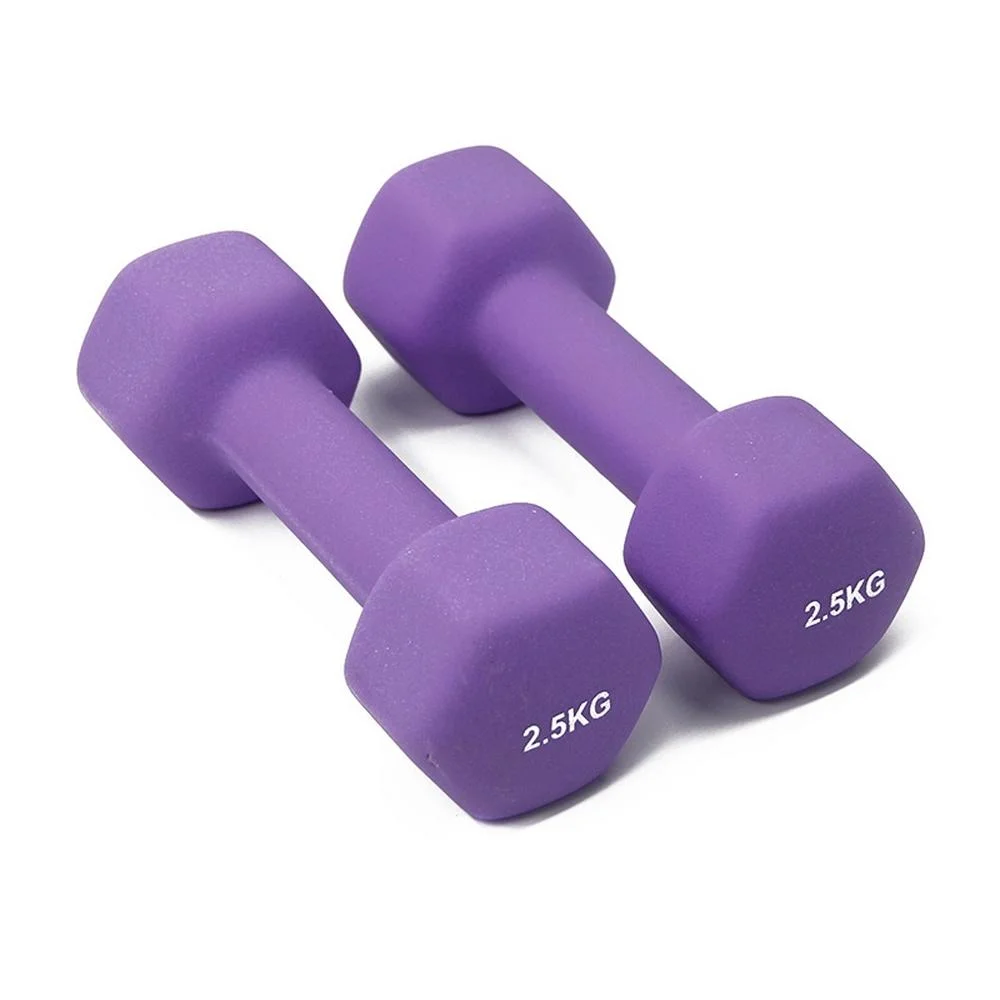 Cheap Ladies Durable Sports Equipment Home Indoor Wholesale Dumbbell