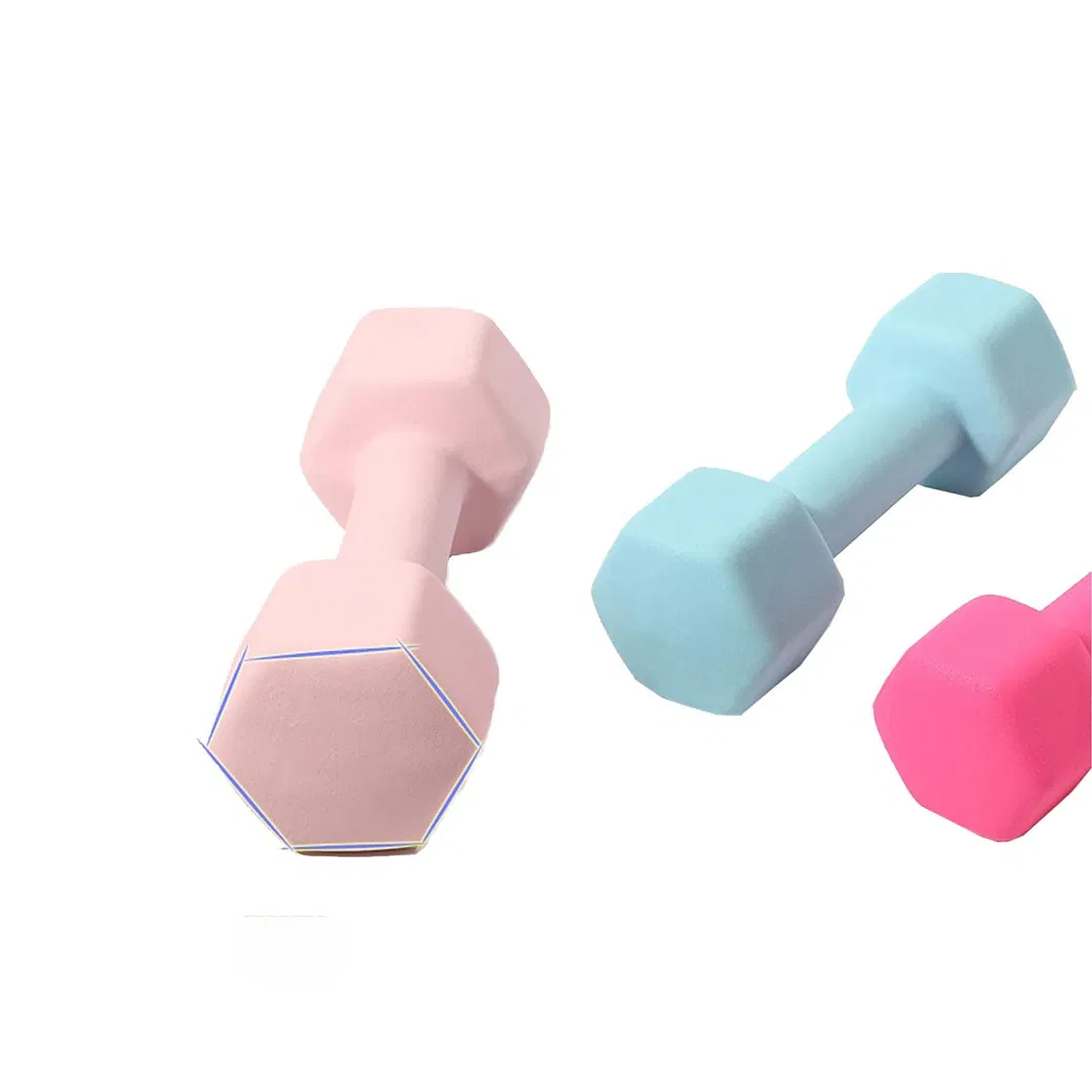 High Quality Customized Adjustable Dumbbell Neoprene Pesas Vinly Dumbbell Set Gym Dumbells Hex Dumbbell Set