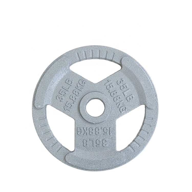 Hot Sale Weight Plates Baked Free Weights Gym Plate Cast Iron Barbell Dumbbell Weight Plate