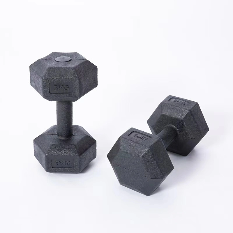 Gym Equipment Fitness Dumbbell Metal Handle Cast Iron Rubber Hex Hexagon Dumbbell