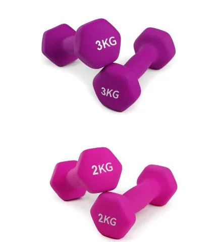 Commercial Gym Equipments Wholesales Manufacturer Small Colored Dumbbell Sets Fitness Accessories Lady Dumbbell