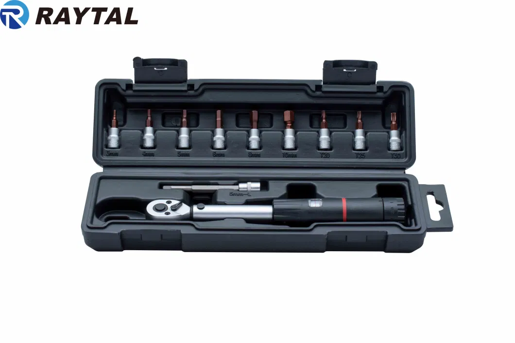 Raytal Biycle Maintenance Kit ,1/4 in. Drive,2-20 N. M Click Torque Wrench Set, with H5X100mm Spark Plug Socket, H3,H4,H5,H6,H8,H10,T20,T25,T30 Bits Socket