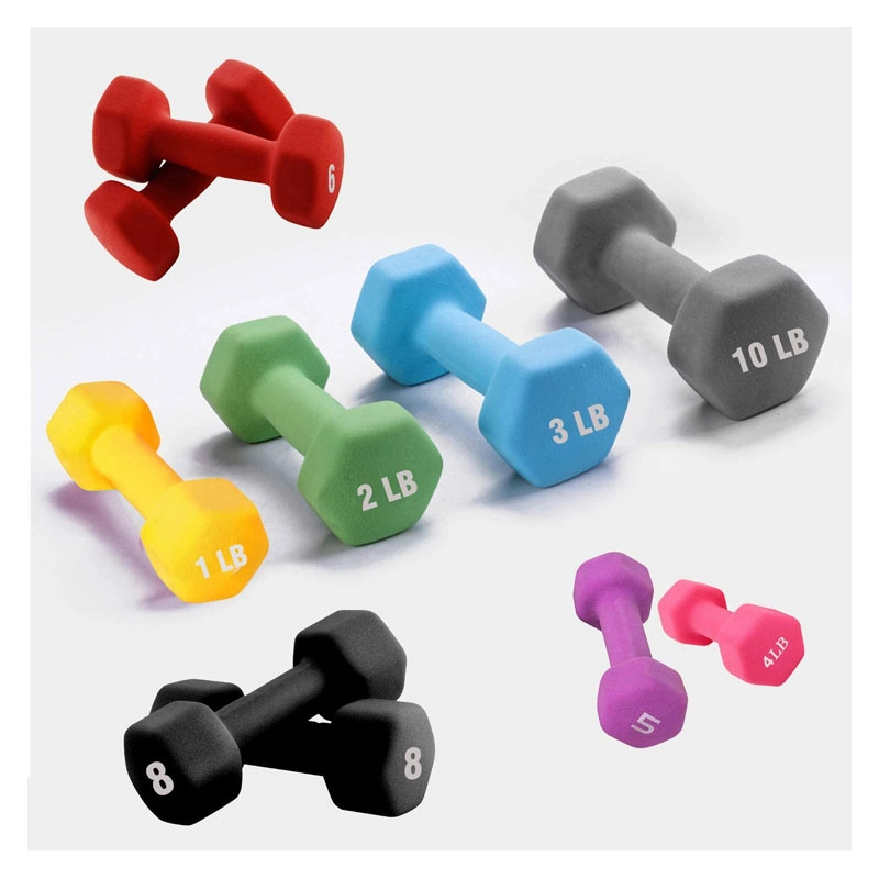 Lightweight Gym and Office Bodybuilding Training Color Dumbbell Hexagonal Design Home Fitness Equipment