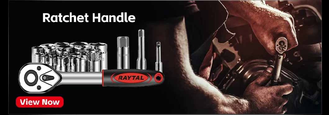 Raytal Biycle Maintenance Kit ,1/4 in. Drive,2-20 N. M Click Torque Wrench Set, with H5X100mm Spark Plug Socket, H3,H4,H5,H6,H8,H10,T20,T25,T30 Bits Socket