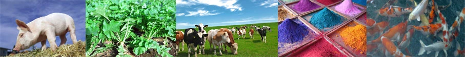 Feed Additive Humic Acid Sodium Humate Used in Ceramic, Aquaculture