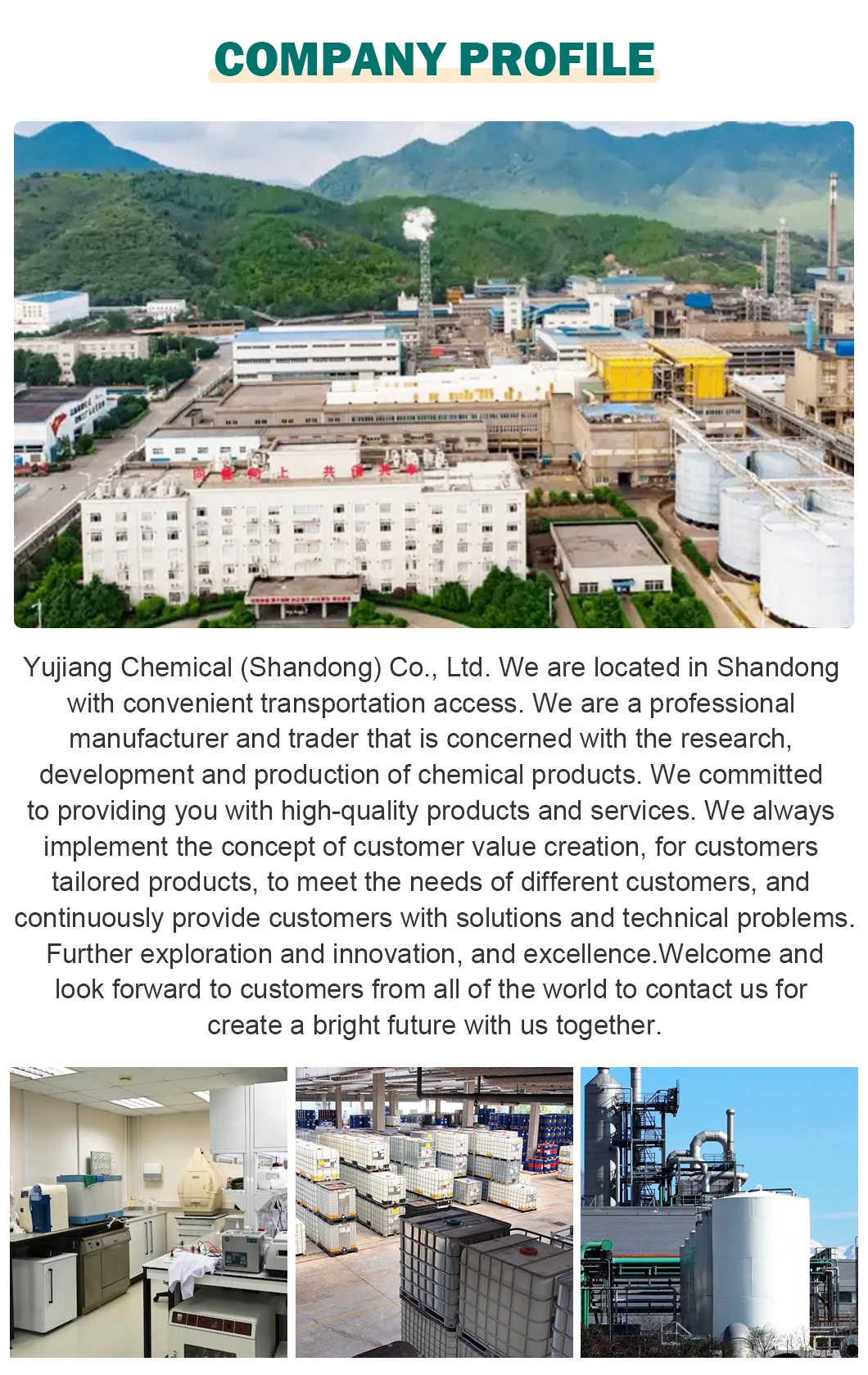 High Quality Red/Black/Green/Yellow/Blue Iron Oxide Powder Pigment