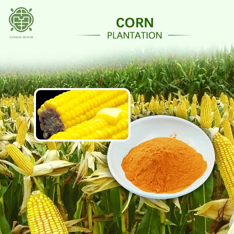 Nanqiao Chinese Factory Supply Best Quality Food Preservative Natural Pigment Zeaxanthin CAS 144-68-3