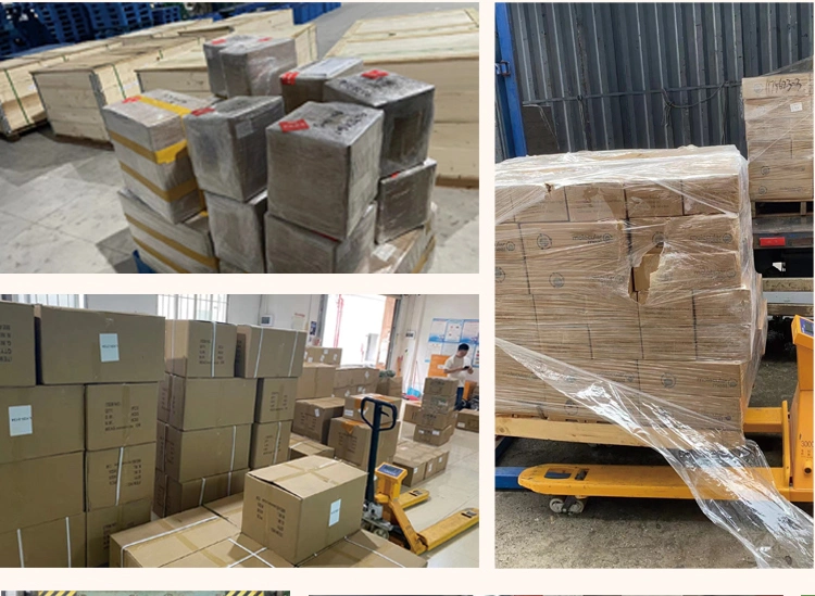 Nanqiao Chinese Factory Supply Best Quality Food Preservative Natural Pigment Zeaxanthin CAS 144-68-3