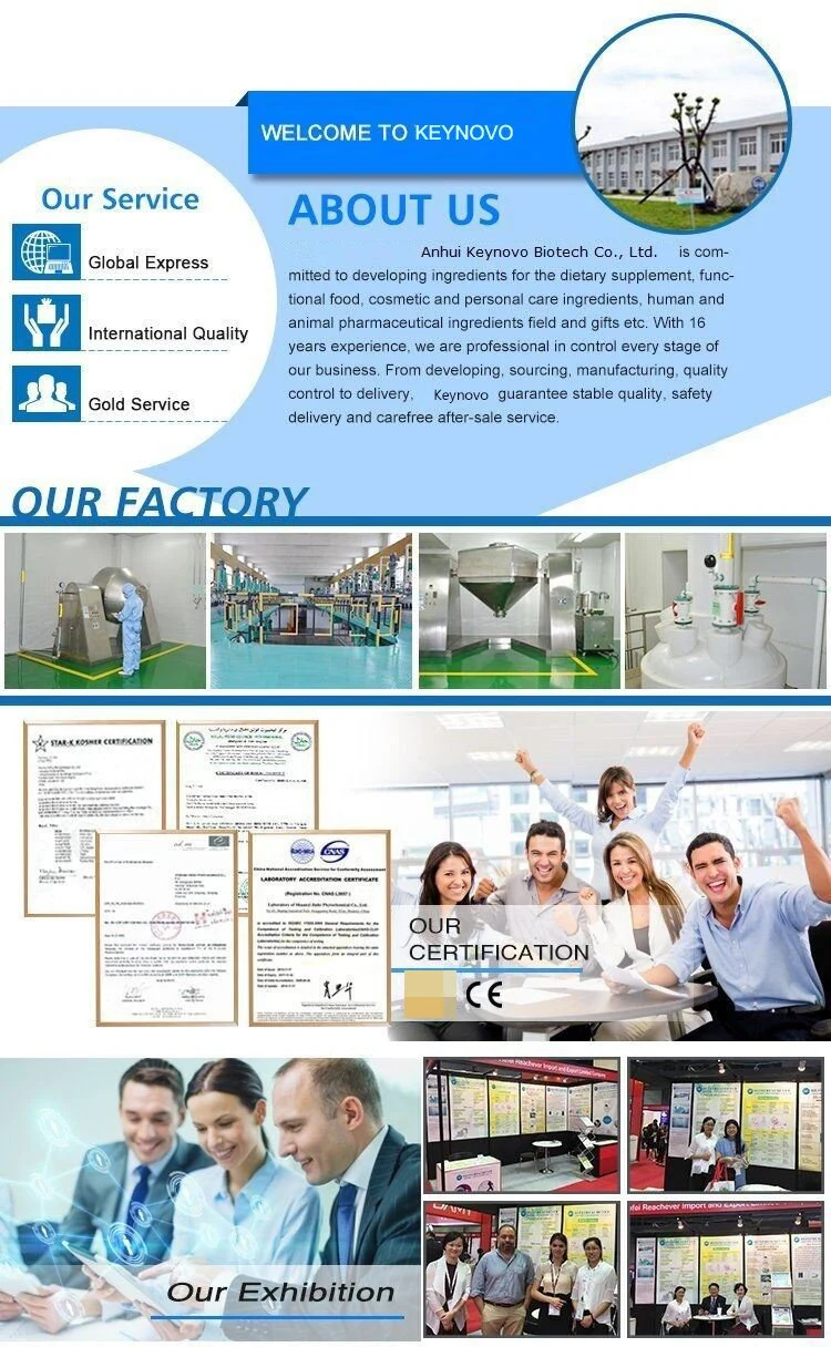 USP Grade Methyl Salicylate Liquid CAS 119-36-8 with Top Quality