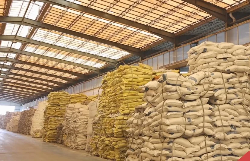 Agriculture Grade Fertilizer Factory High Soluble Feed Additive Sodium Humate