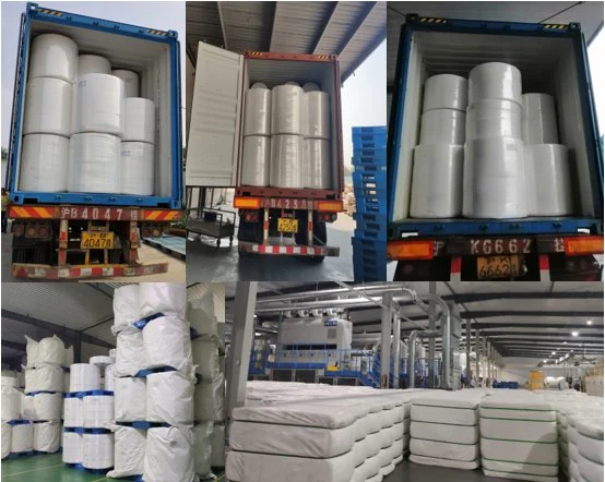 Hard Gumstay LDPE Coating Fusible Nonwoven Interlining Backing Paper for Embroidery