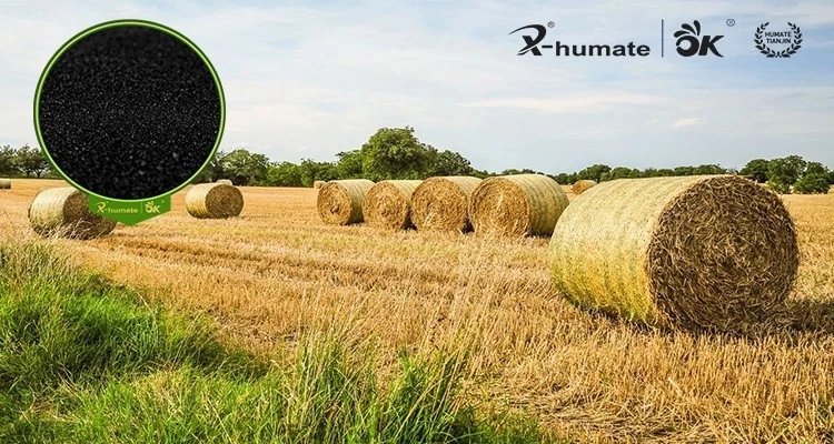 Sodium Humate Soluble Humic Acid Powder