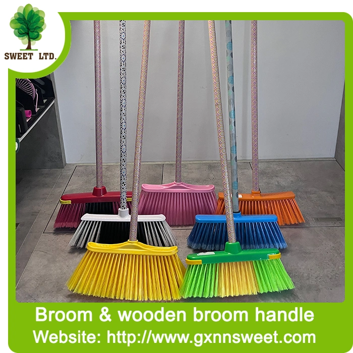 Wholesale Red Green Blue Yellow Colors Pet Soft Plastic Broom Head Mop Head