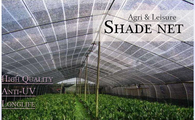 Greenhouse Shade Net Sun Shading Mesh Net screen / HDPE Windshield Shade Netting / Plastic Woven Knitted Green Shade Cloth with Cheap Price for Vegetable Plant