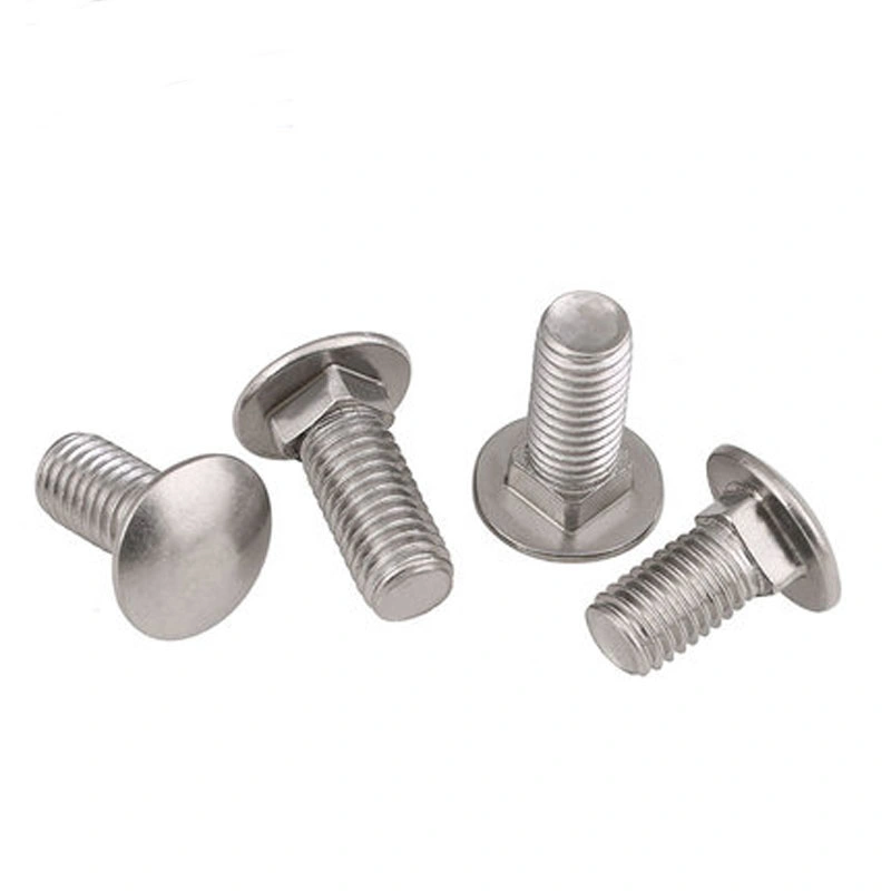 Hardened Stainless Steel Carriage Bolt M5 M8 M20 15mm 30mm Round Head Square