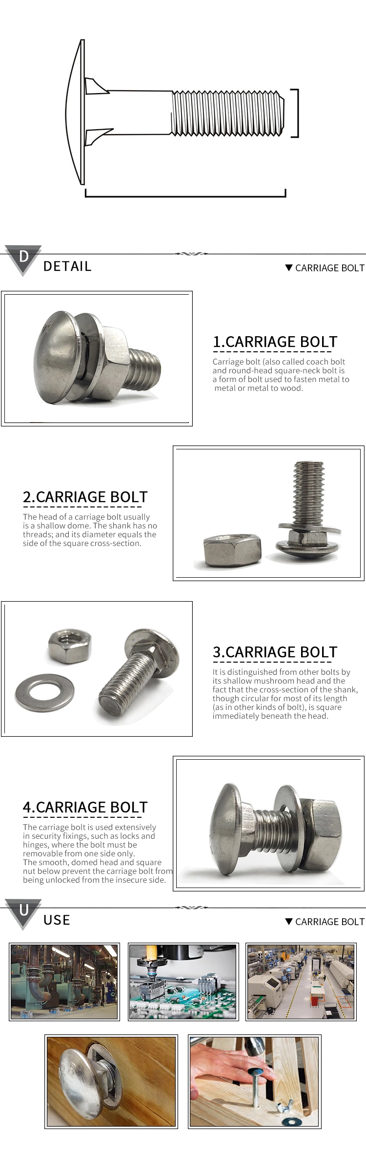 Hardened Stainless Steel Carriage Bolt M5 M8 M20 15mm 30mm Round Head Square